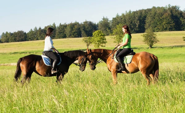 Две женщины верхом на лошадях в пейзаже — стоковое фото