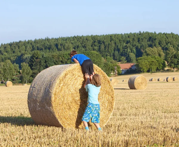 Two Boys Climbing Bale of Hay — Stock Photo, Image