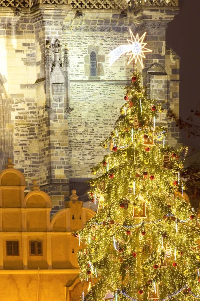 Czech Republic, Prague - Christmas Tree at the Old Town Square — Stock Photo, Image