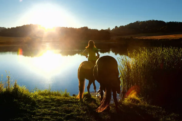 Donna con due cavalli in riva al lago al tramonto — Foto Stock