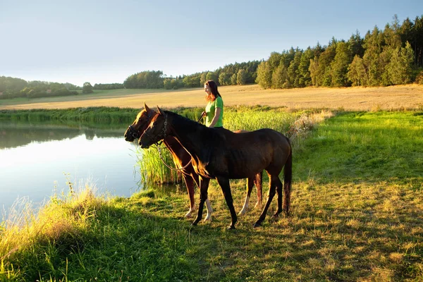 Frau mit zwei Pferden in einem See bei Sonnenuntergang — Stockfoto