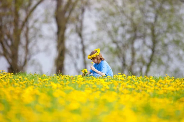 Niño con el pelo rubio recogiendo dientes de león en un prado — Foto de Stock