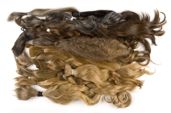 Real Human Hair — Stock Photo, Image