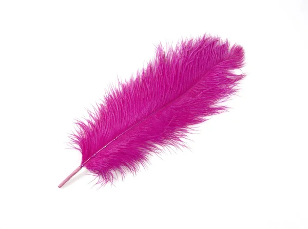Colorido Artificial Feather Shot em fundo branco — Fotografia de Stock
