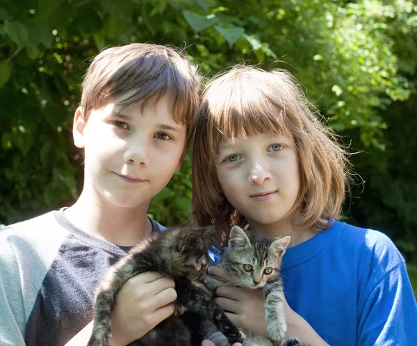 Portret van twee jongens houden van Kittens — Stockfoto
