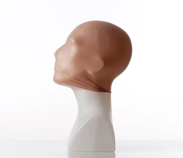 Mannequin Head with Plastic for Creation of Bald — Stock Photo, Image