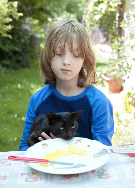 Pojke smedslängor en katt vid bordet. — Stockfoto