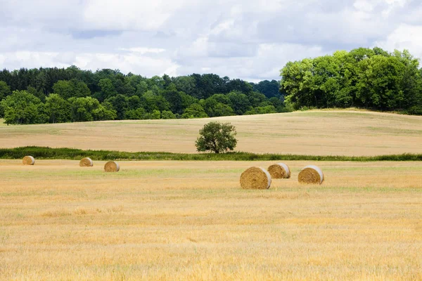 Field with Bales of Hay. — Stock Photo, Image