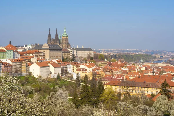 Prague - Hradcany Castle and St. Vitus Cathedral — Stock Photo, Image