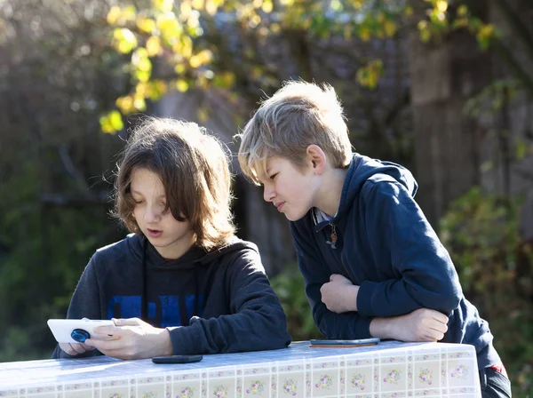 Két fiú mobiltelefonnal a kertben. Stock Kép