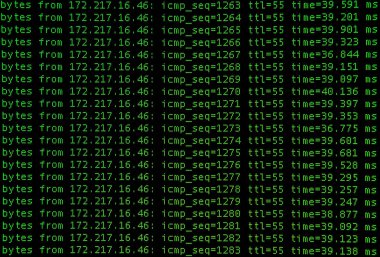 Bash kabuğu kullanılarak sitenin ping sesi.