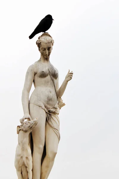 Statue und Vogel. diana, hund und rabe — Stockfoto