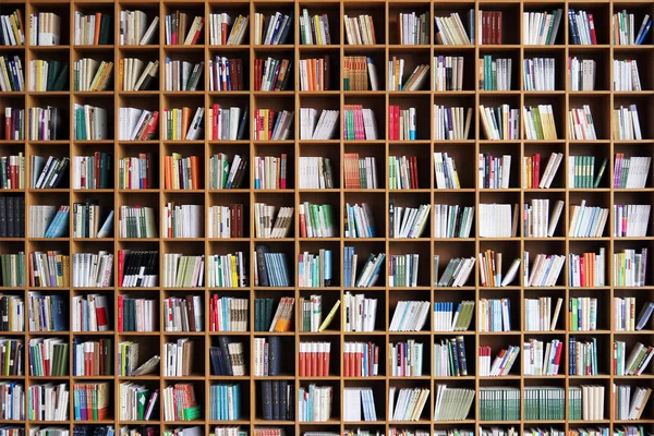 Halk Kütüphanesi içinde Bookshelf