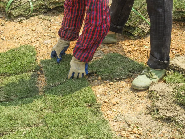 Výsadba nových Grass dlaždice — Stock fotografie