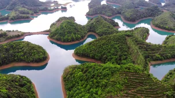 Aerial View Thousand Island Lake Bird View Freshwater Qiandaohu Tea — Stock Video