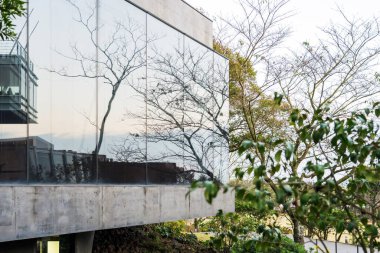 Cam gibi sağlam bir beton ev. Bahçedeki Ağaçların Modern Mimarisi ve Yansıması.