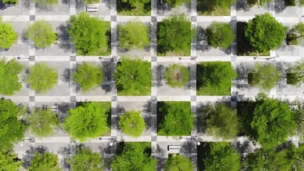 Flygfoto Regelbunden Stadsplanering Och Mjuk Landskapsanläggning Top View Chess Squares — Stockvideo