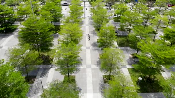 通常の都市デザインとソフト造園の空中ビュー チェスの広場のトップビュー緑の木々や舗装 屋外公共空間のドローンシーンと深センを歩く人々を見下ろす — ストック動画