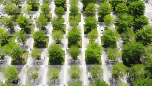 Vista Aérea Projeto Urbano Regular Paisagem Macia Top View Chess — Vídeo de Stock