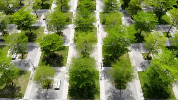 정기적 설계와 풍경에 Chess Squares Green Trees Pavement 심천에서 산책하는 — 비디오