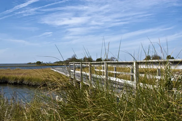 Wood walkway through Marshes to Ocean — Stock Photo, Image