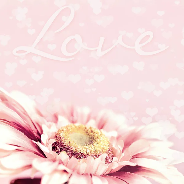 Nätta bakgrund med hjärtan Daisy blomman — Stockfoto