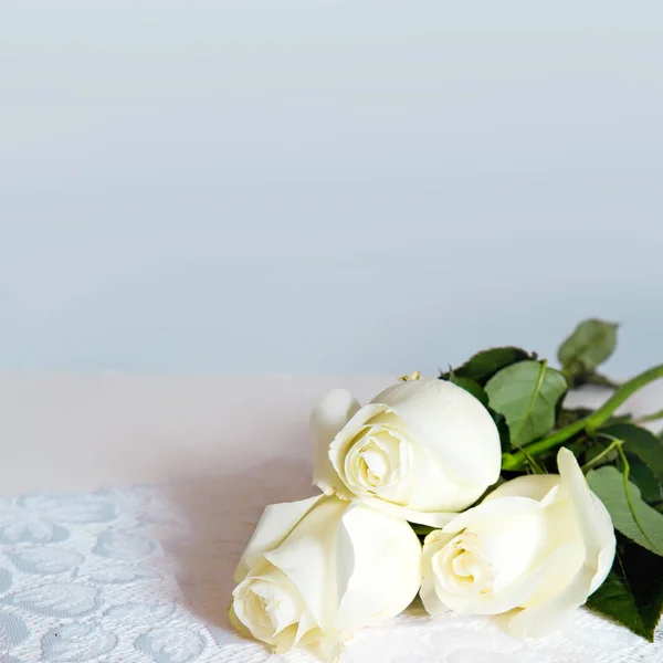 Background with three large dreamy and cream white roses on lace — Stock Photo, Image