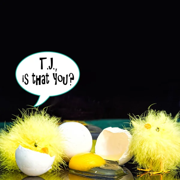 Funny Background with Baby Chicks and Yolk — Stock Photo, Image