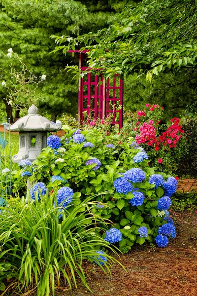 Hydrangea Garden with pagoda — Stock Photo, Image