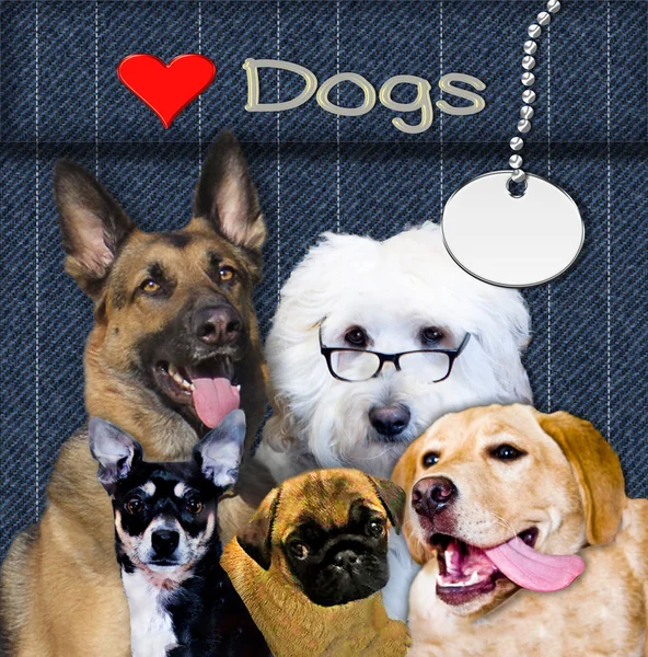 Five Breeds Dogs Blue Denim Background Title Heart Dogs Dogs — Stock Photo, Image