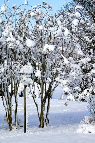 Birdhouse Livre Com Neve Bicicletas Penduradas Nele Após Grande Nevasca — Fotografia de Stock