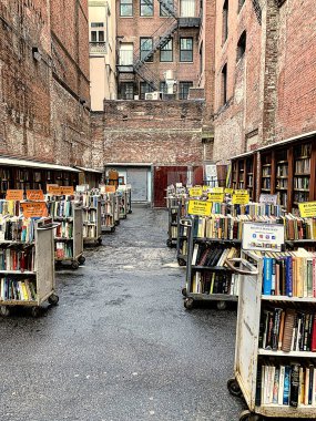 Resim, Boston 'da iki cadde arasındaki caddelerde satılık pek çok kitap standının bulunduğu bir açık hava kitapçısıdır, anne..