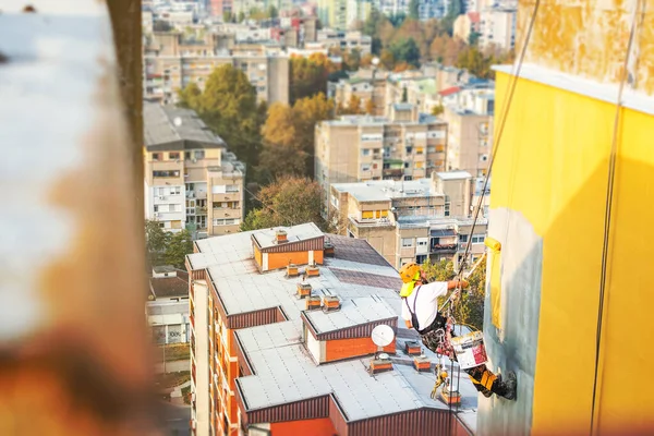 Industrial rope access worker hanging from the building while painting the exterior facade wall. Industrial alpinism concept image. Top view