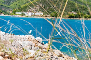Deniz kenarındaki kayanın üzerinde duran beyaz martı. Sıcak yaz günü.