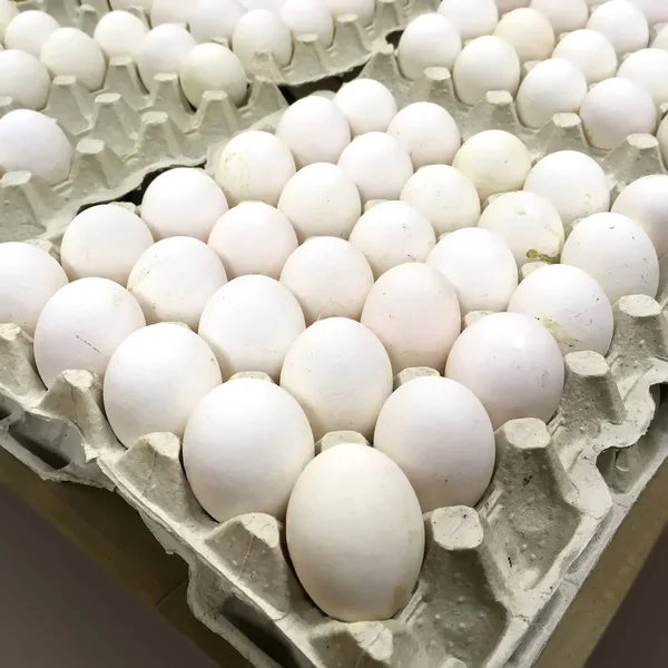 Курячі яйця в упаковці — стокове фото