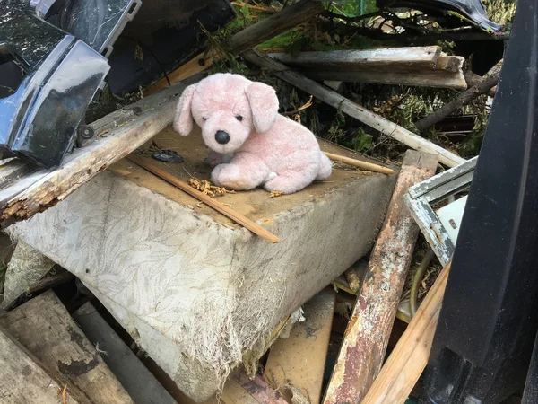 Viejo juguete de perro en las ruinas de una casa destruida — Foto de Stock