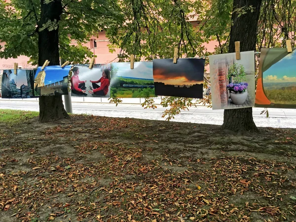 Photos hanging on clothespins in the park in Lviv — Stock Photo, Image