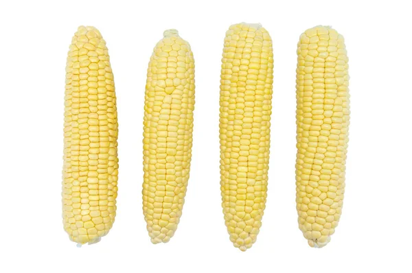 Corn isolated on white background — Stock Photo, Image