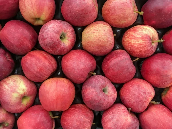 Manzanas rojas maduras apiladas en una caja —  Fotos de Stock