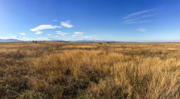 草原の側からクリミア山脈の眺め — ストック写真