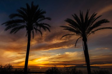 Tenerife'de okyanustan gün batımı avuçları