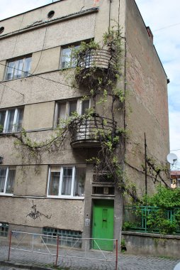 Eski bir balkon ile üzüm, Uzhhorod, Ukrayna