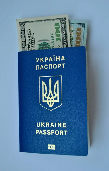 Pasaport ve Amerikan Doları