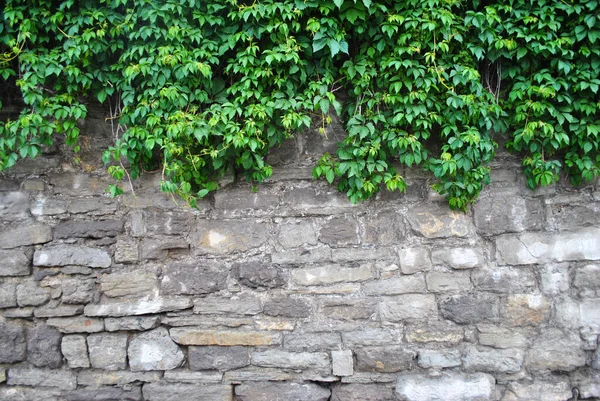 Achtergrond Van Een Oude Bakstenen Muur — Stockfoto