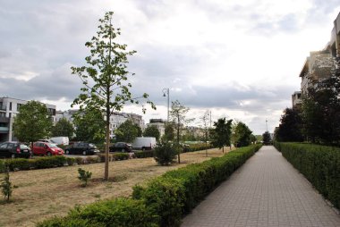 Varşova caddesinin yeşil kaldırımları