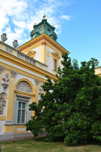 Albero Vicino Palazzo Reale Dei Polacchi Polonia — Foto Stock