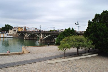 Sevilla 'da köprünün yanındaki yeşil ağaçlar