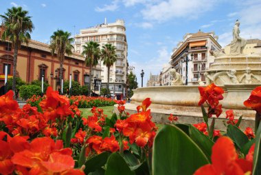 Sevilla 'da kırmızı güzel çiçek