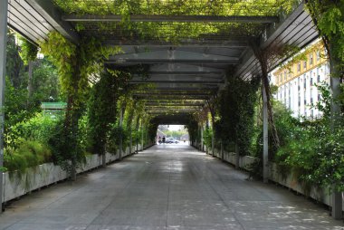 İspanya 'daki resim yeşili tünel, Sevilla