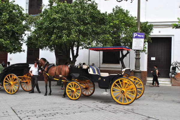 Carro Cavalo Com Rodas Amarelas Sevilla — Fotografia de Stock